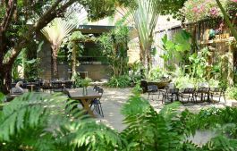Outdoor garden