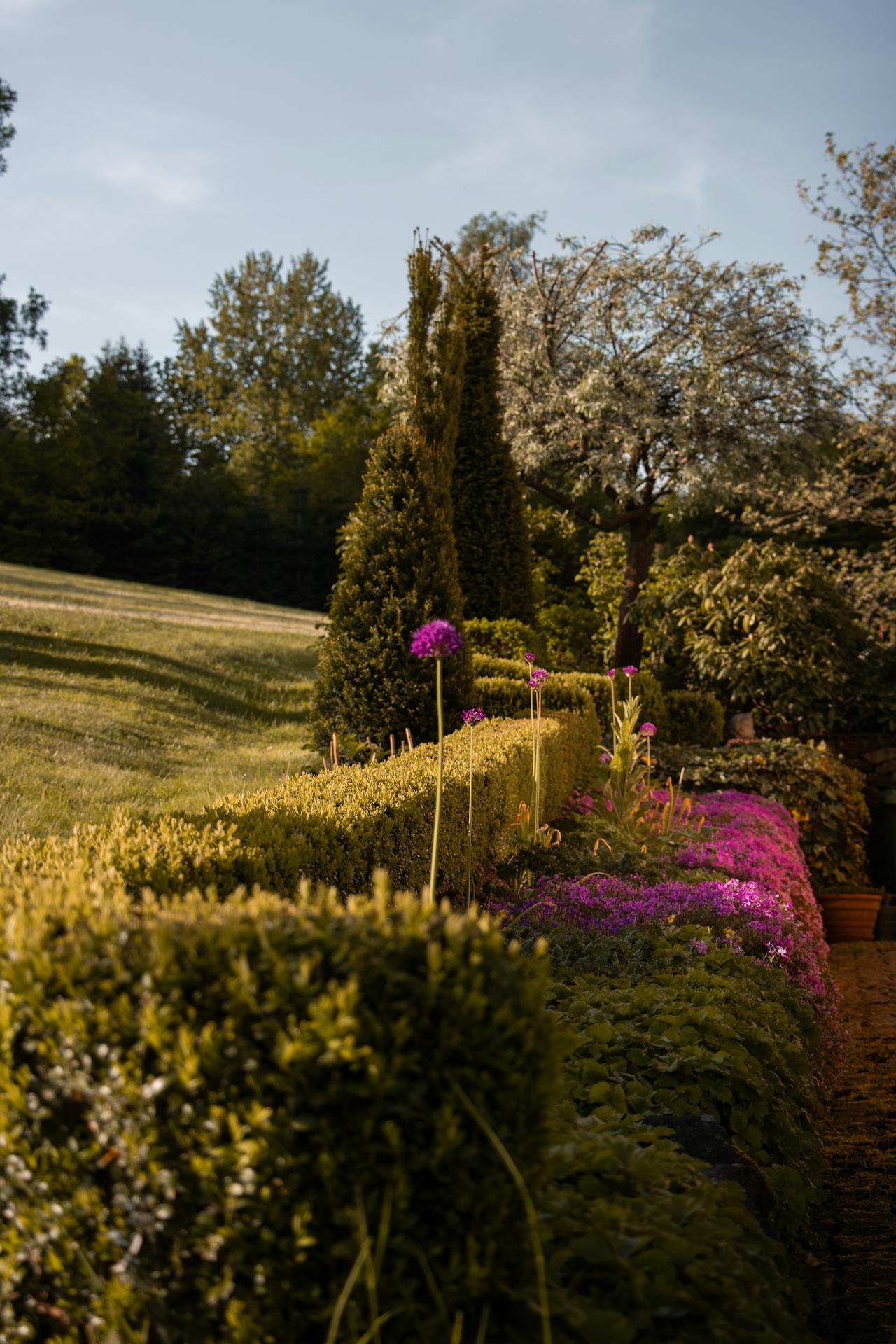 Landscape