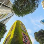 Green architecture