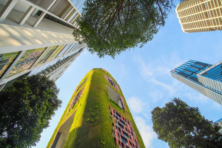 Green architecture