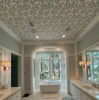 Statement ceiling