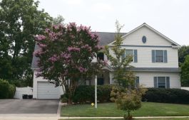 Home with a front yard