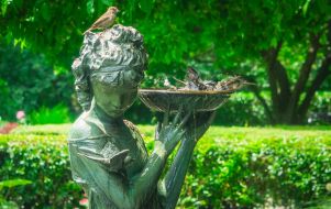 Bird bath