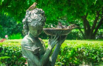 Bird bath