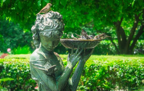 Bird bath