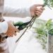 Person cutting plants