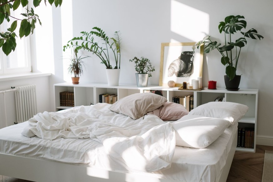 Cozy bed