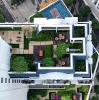 Rooftop garden