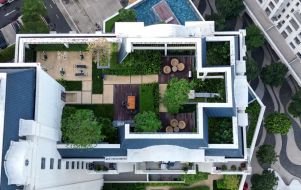 Rooftop garden
