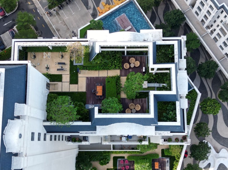 Rooftop garden