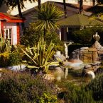 Home water feature
