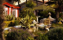 Home water feature