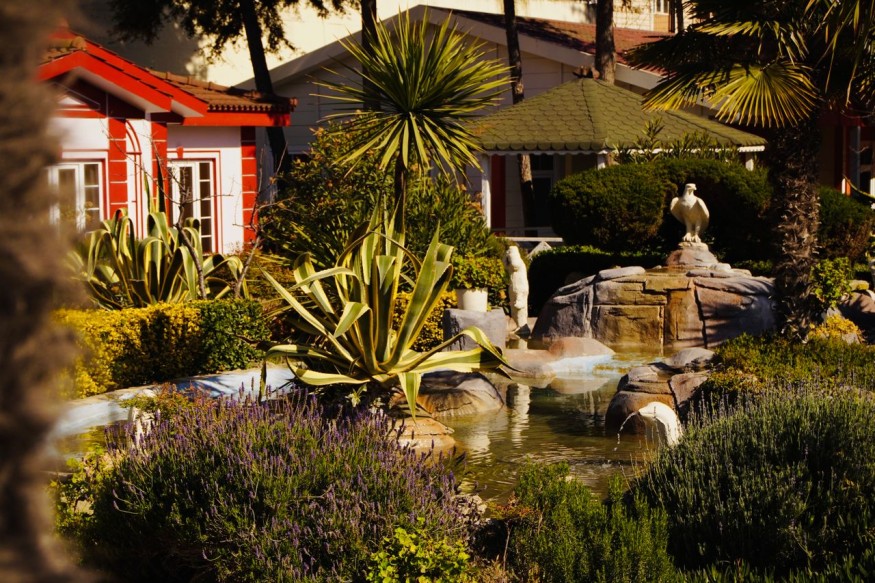 Home water feature