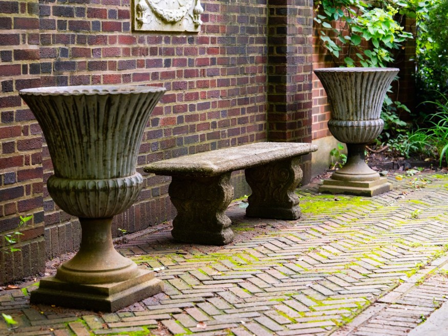 Moss on a patio