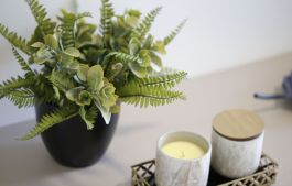 fake indoor plant