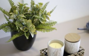 fake indoor plant