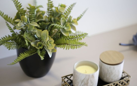 fake indoor plant