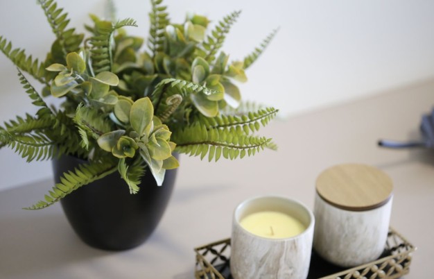 fake indoor plant