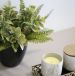 fake indoor plant