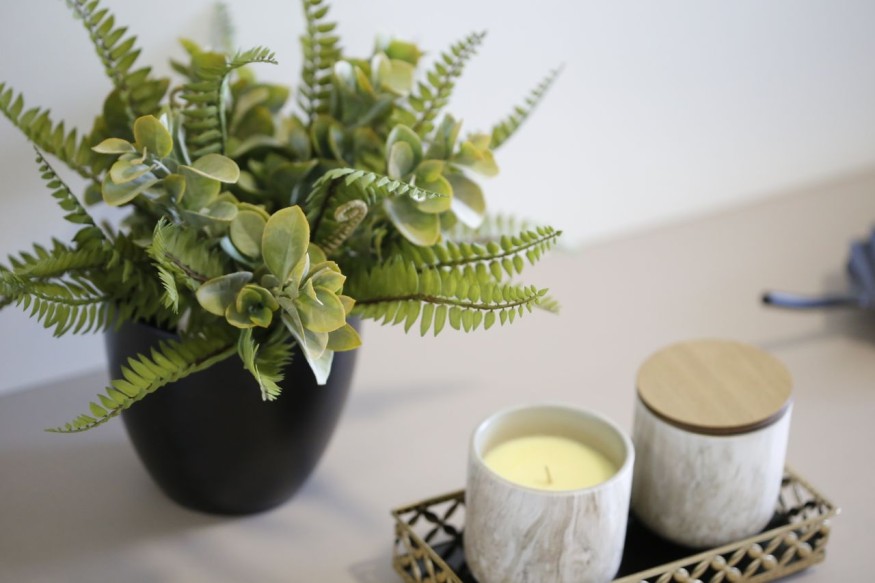 fake indoor plant