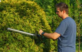 Garden shrubs