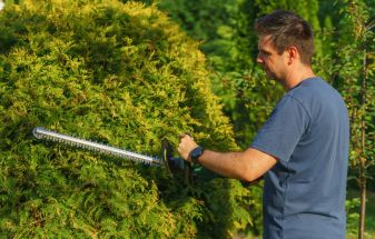 Garden shrubs