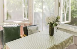 cozy interior