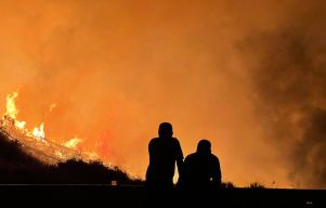 Wildfire