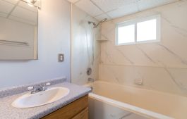 Bath tub