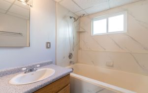 Bath tub