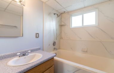 Bath tub