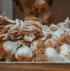 Garlic in a root cellar