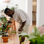 indoor plants