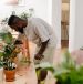 indoor plants