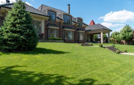 Lavish lawn