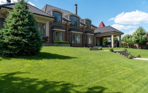 Lavish lawn