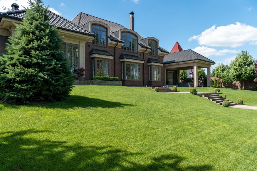 Lavish lawn