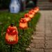 Halloween decor