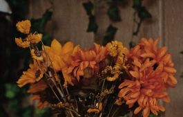 Halloween decor