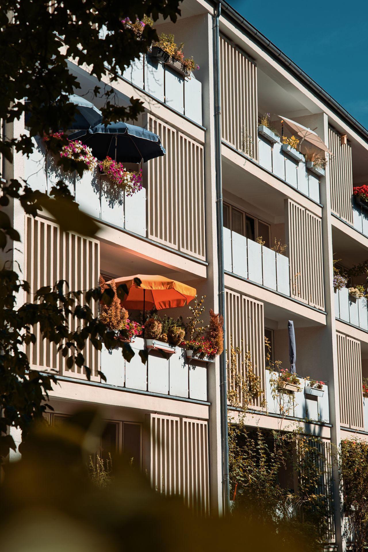 Brise-Soleil