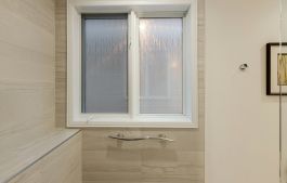Bathroom window