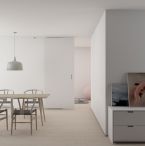 pocket door