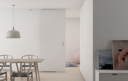 pocket door