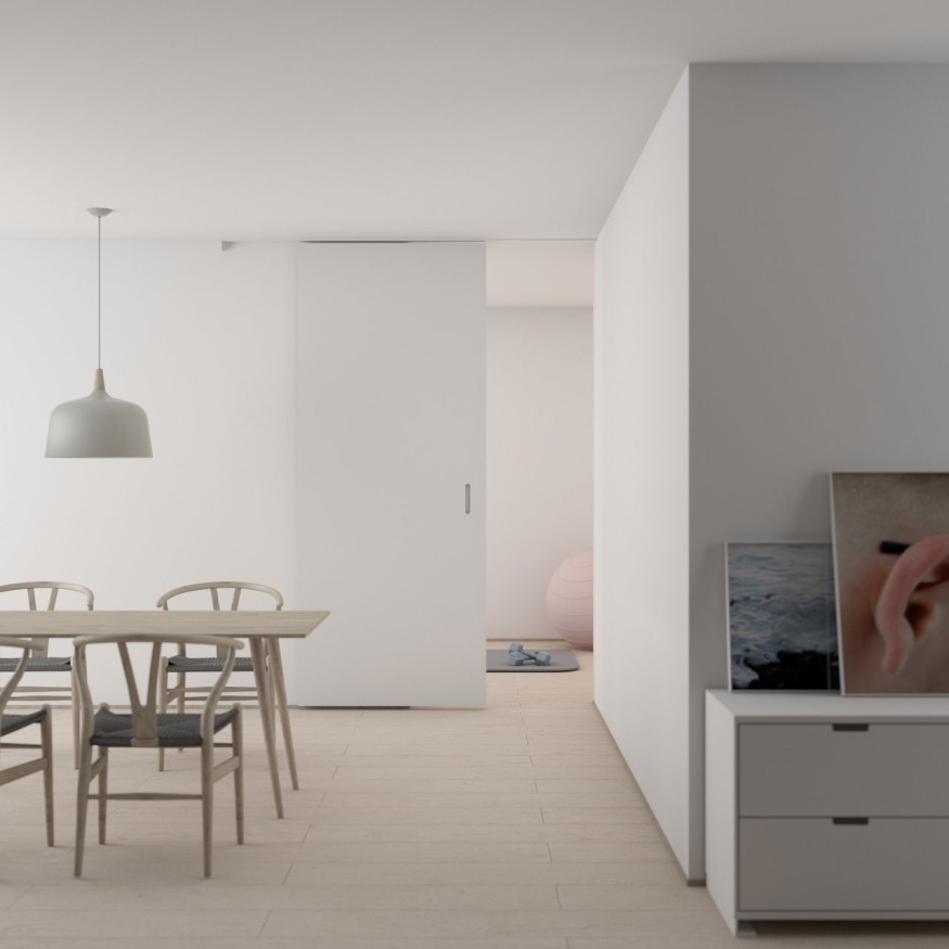 pocket door