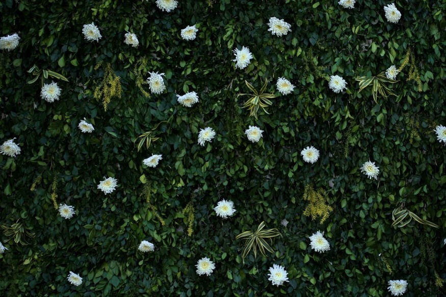 Garden wall
