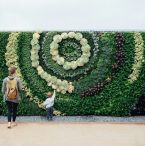 Garden wall