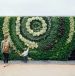 Garden wall