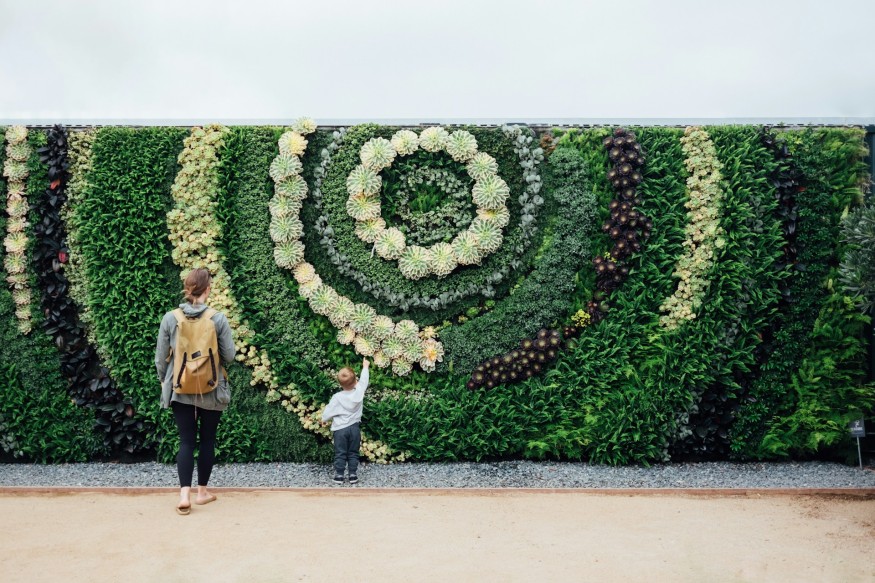 Garden wall