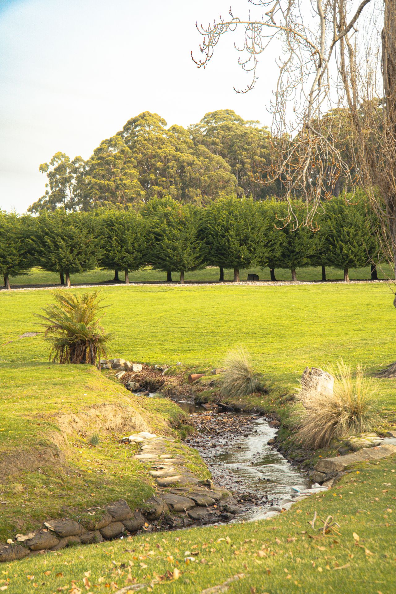Dry creek
