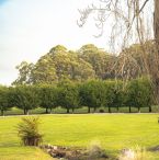 Dry creek